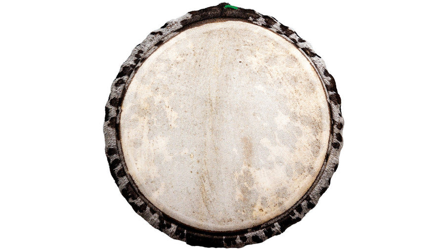 Koma Drum djembe MKS Special Piece, buy Mohamed Kaleb Sylla