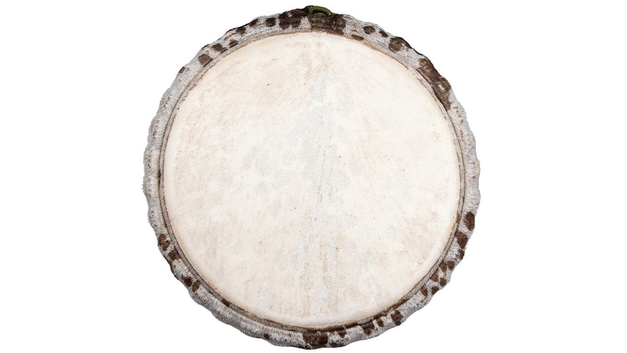 Koma Drum Select djembe #3052, Hare' wood