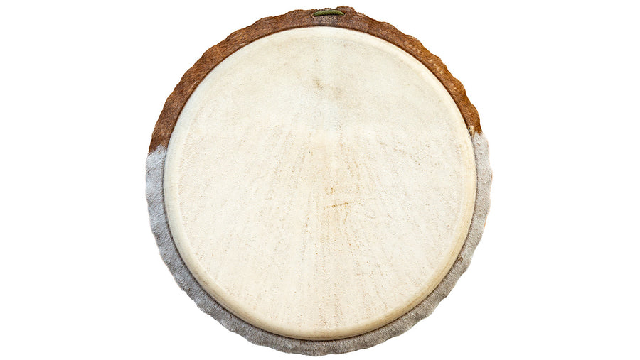 Koma Drum Djembe, by Mohamed Kaleb Sylla. Lenke wood, Guinea goat skins, and Koma Drum rope.