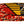 Drum Straps