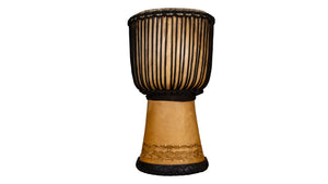 Melina Student (11" to 12")